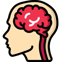 Left vs Right Brain Test