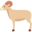 Year of the Sheep icon